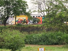 El parque lineal R&iacute;o Cali un espacio lleno de bondades