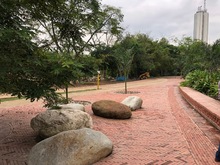 El parque lineal R&iacute;o Cali un espacio lleno de bondades