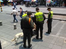 Toma preventiva de la polic&iacute;a en el centro de Cali