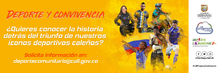 IconoDep01