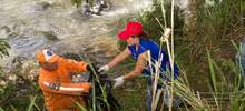 La quebrada del Cabuyal m&aacute;s limpia en jornada de limpieza  