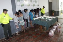 Desarticulada estructura delincuencial que surt&iacute;a expendios de narc&oacute;ticos en barrios Olaya Herrera y La Isla 