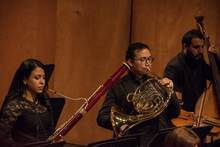 El Corno ser&aacute; el protagonista de la Orquesta  Filarm&oacute;nica de Cali
