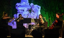 Festival de Regreso a mi tierra 01