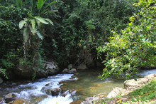 Formulaci&oacute;n de los planes de inversi&oacute;n 2019 