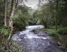 Rio Pance