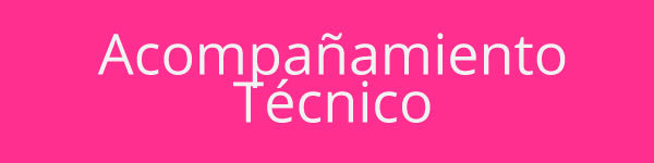 Acompa&ntilde;amiento T&eacute;cnico