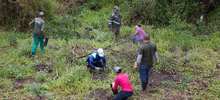 Jornada de restauraci&oacute;n en el Ecoparque Cerro de la Bandera 1