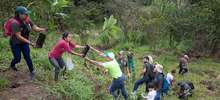 Jornada de restauraci&oacute;n en el Ecoparque Cerro de la Bandera 10