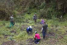 Jornada de restauraci&oacute;n en el Ecoparque Cerro de la Bandera 12