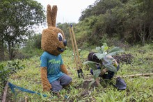 Jornada de restauraci&oacute;n en el Ecoparque Cerro de la Bandera 18