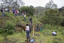Jornada de restauraci&oacute;n en el Ecoparque Cerro de la Bandera 19