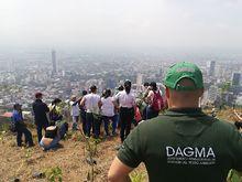 Sector empresarial apoya siembras y embellecimiento zonas verdes de Cali