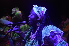 Zonales Violines Caucanos Santander de Quilichao.