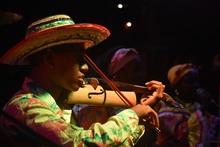 Zonales Violines Caucanos Santander de Quilichao.