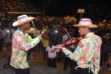 Zonales Violines Caucanos Santander de Quilichao.
