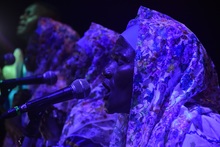 Zonales Violines Caucanos Santander de Quilichao.