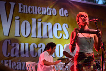 Zonales Violines Caucanos Santander de Quilichao.