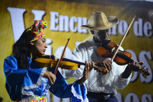 Zonales Violines Caucanos Santander de Quilichao.