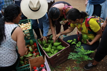 Este 2 de junio, prep&aacute;rate para el mercado solidario y sostenible en Villa Carmelo.