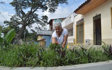 La nueva Alameda de Silo&eacute;: seguridad, movilidad y oportunidades sociales para la comuna 20