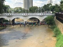 Diez kil&oacute;metros de la ribera del r&iacute;o Cali fueron intervenidos por la Unidad de Control de Invasiones y Protecci&oacute;n de Ecosistemas 