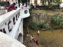 Diez kil&oacute;metros de la ribera del r&iacute;o Cali fueron intervenidos por la Unidad de Control de Invasiones y Protecci&oacute;n de Ecosistemas 