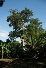 Dagma celebr&oacute; el D&iacute;a del Agricultor