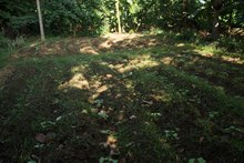 Dagma celebr&oacute; el D&iacute;a del Agricultor