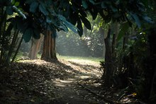 Dagma celebr&oacute; el D&iacute;a del Agricultor