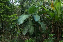 Dagma celebr&oacute; el D&iacute;a del Agricultor
