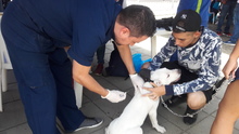 Jornada de registro para animales considerados potencialmente peligrosos en el Centro Comercial R&iacute;o Cauca