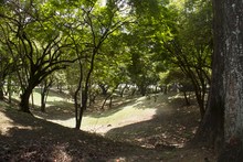 Fuente La Rebequita 04