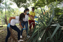 Jornada Cali Bonita parques de San Antonio 4