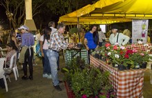 Con cultura y deporte, cale&ntilde;os y turistas redescubrieron San Antonio