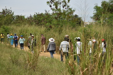 Caminata ambiental por el Jarill&oacute;n de Cali con la comunidad