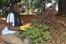 Intervenci&oacute;n Escuela Taller en la Loma de la Cruz.