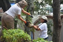 Intervenci&oacute;n Escuela Taller en la Loma de la Cruz.