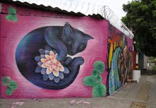 Graficalia, el primer festival de arte urbano en Cali