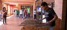 La Icesi ense&ntilde;ar&aacute; a tocar marimba de chonta a sus estudiantes