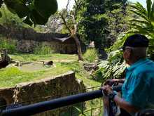 Adultos mayores de la Comuna 1 conocieron el Zool&oacute;gico de Cali