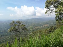 Unidad de Protecci&oacute;n de Ecosistemas ha resguardado 3.000 hect&aacute;reas de gran importancia ecol&oacute;gica