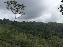 Unidad de Protecci&oacute;n de Ecosistemas ha resguardado 3.000 hect&aacute;reas de gran importancia ecol&oacute;gica