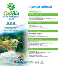 Agenda cultural calibio