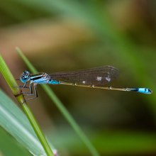 Primer puesto - Camara Profesional