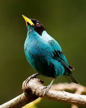 Segundo puesto - Camara Profesional