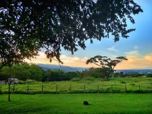 Tercer puesto - Camara Celular