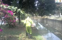 Por Mi Cali Bonita se enluce y recupera el aspecto de la zona del puente Mar&iacute;a Isabel Urrutia