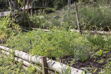 La instituci&oacute;n educativa La paz presentar&aacute; su experiencia significativa en la ciudad de Bogot&aacute; 