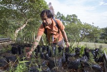 La instituci&oacute;n educativa La paz presentar&aacute; su experiencia significativa en la ciudad de Bogot&aacute; 